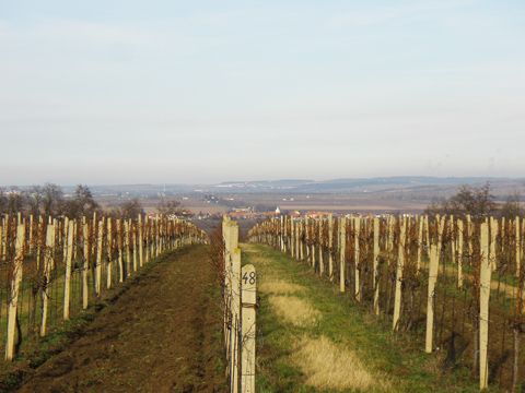 Foto 21